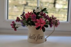 00100dPORTRAIT_00100_BURST20180629123708025_COVER